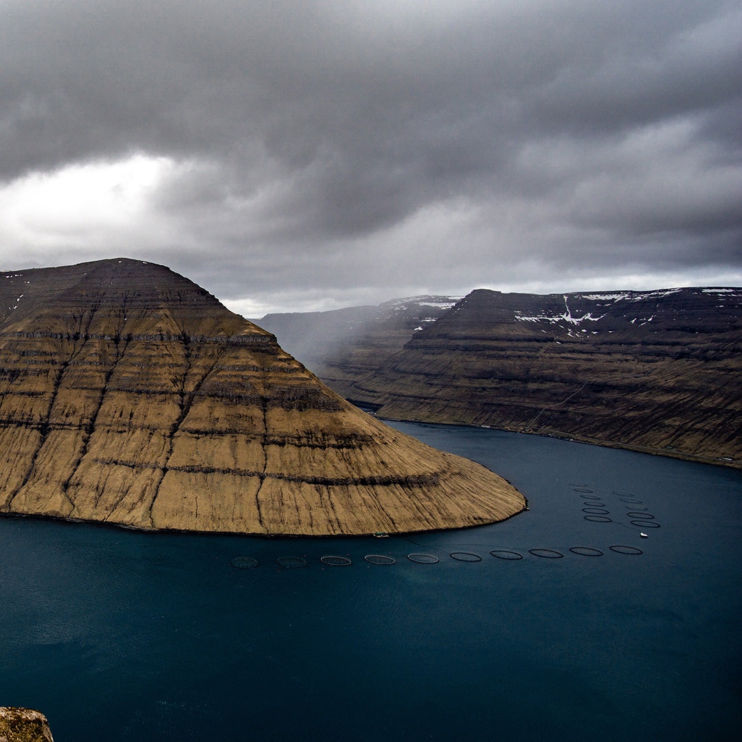 Idyllisk vy över den färöaiska fjorden där laxen odlas, visar de klara och rena förhållandena som bidrar till fiskens höga kvalitet.