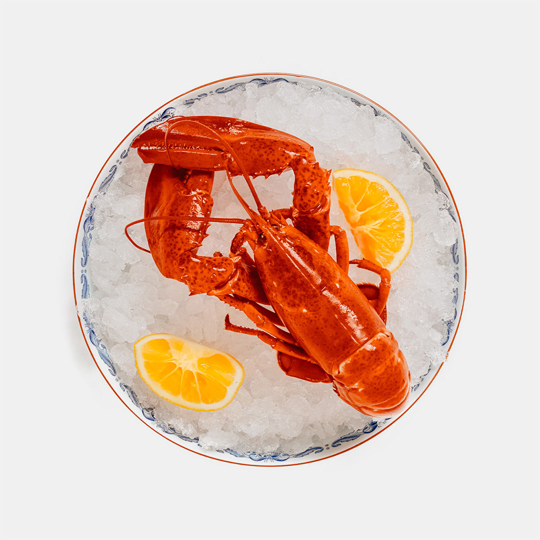 Hummer Kanada 550 g 🇨🇦