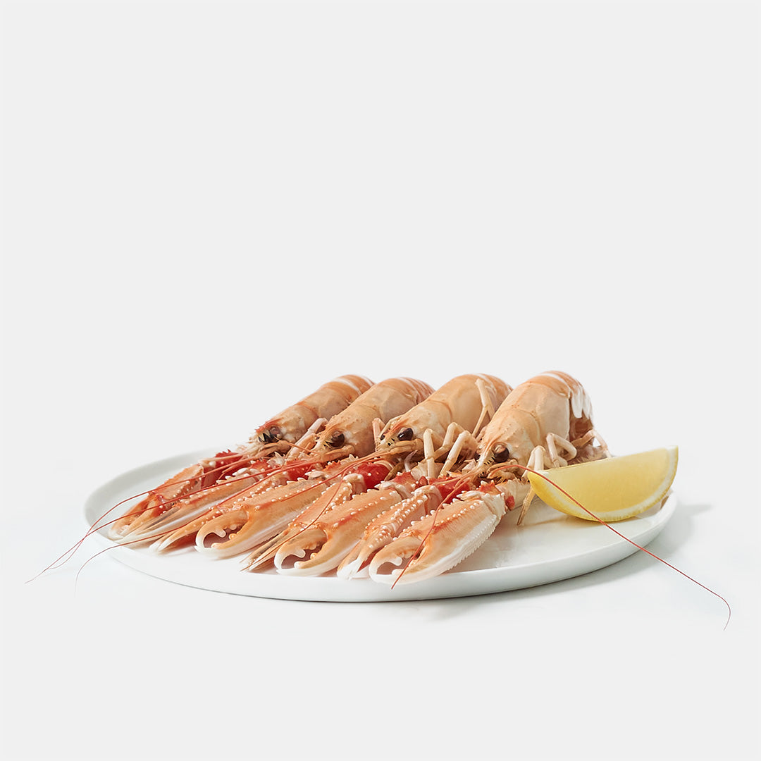 Havskräftor Stora Norge 1 kg 🇳🇴