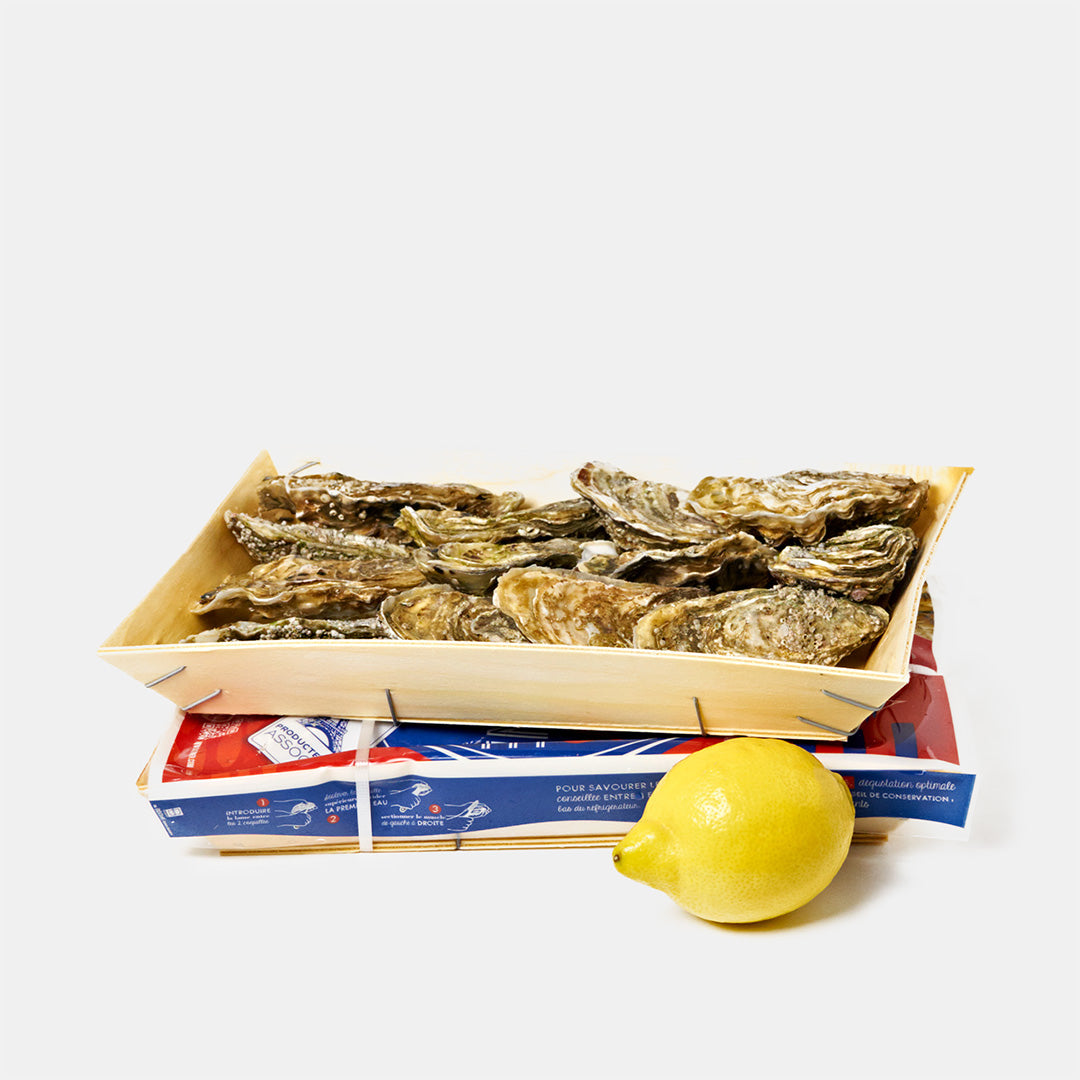 Ostron Frankrike 12 st 🇫🇷