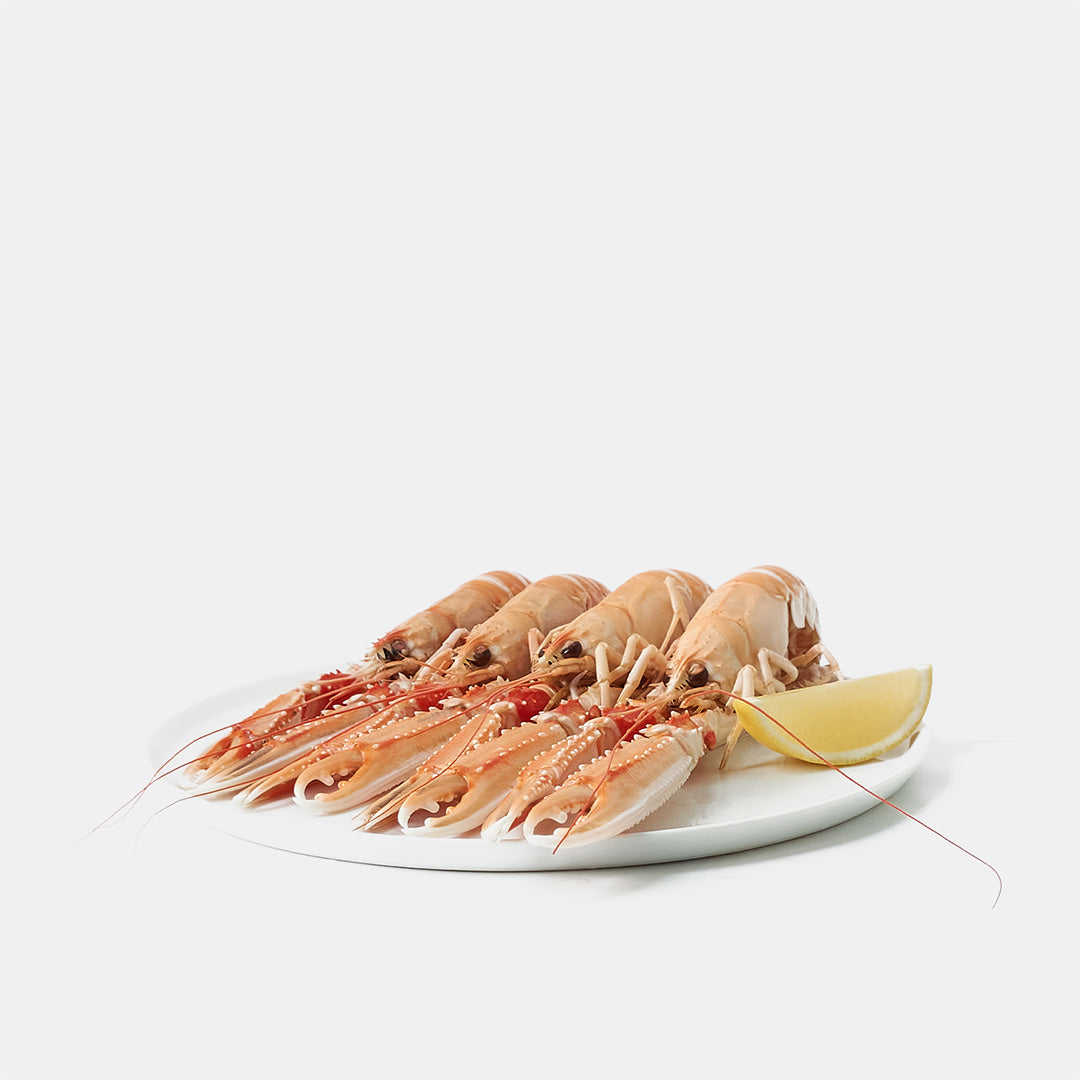Nykokta havskräftor – burfångad Nordsjön 🇳🇴 (1 kg)