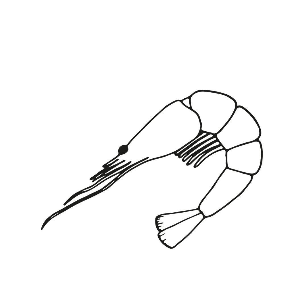 ARGENTINSKA RÖDRÄKOR – 2 KG