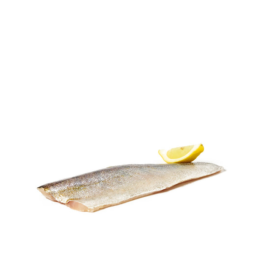 GÖSFILÉ 🇩🇰