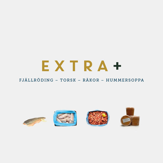 "Extra Plus"